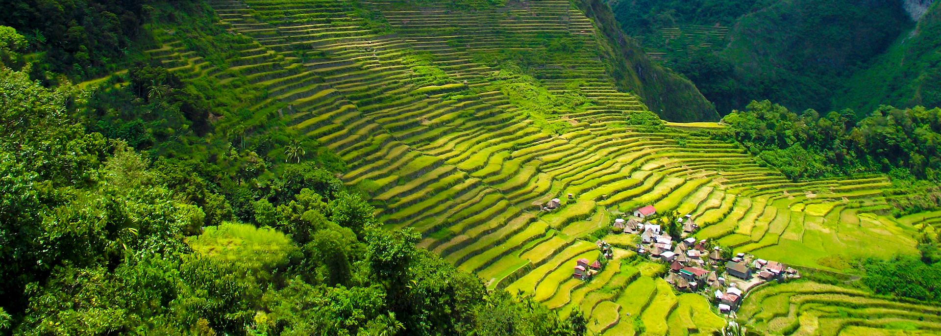 Bohol
